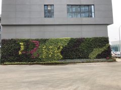 活体植物墙